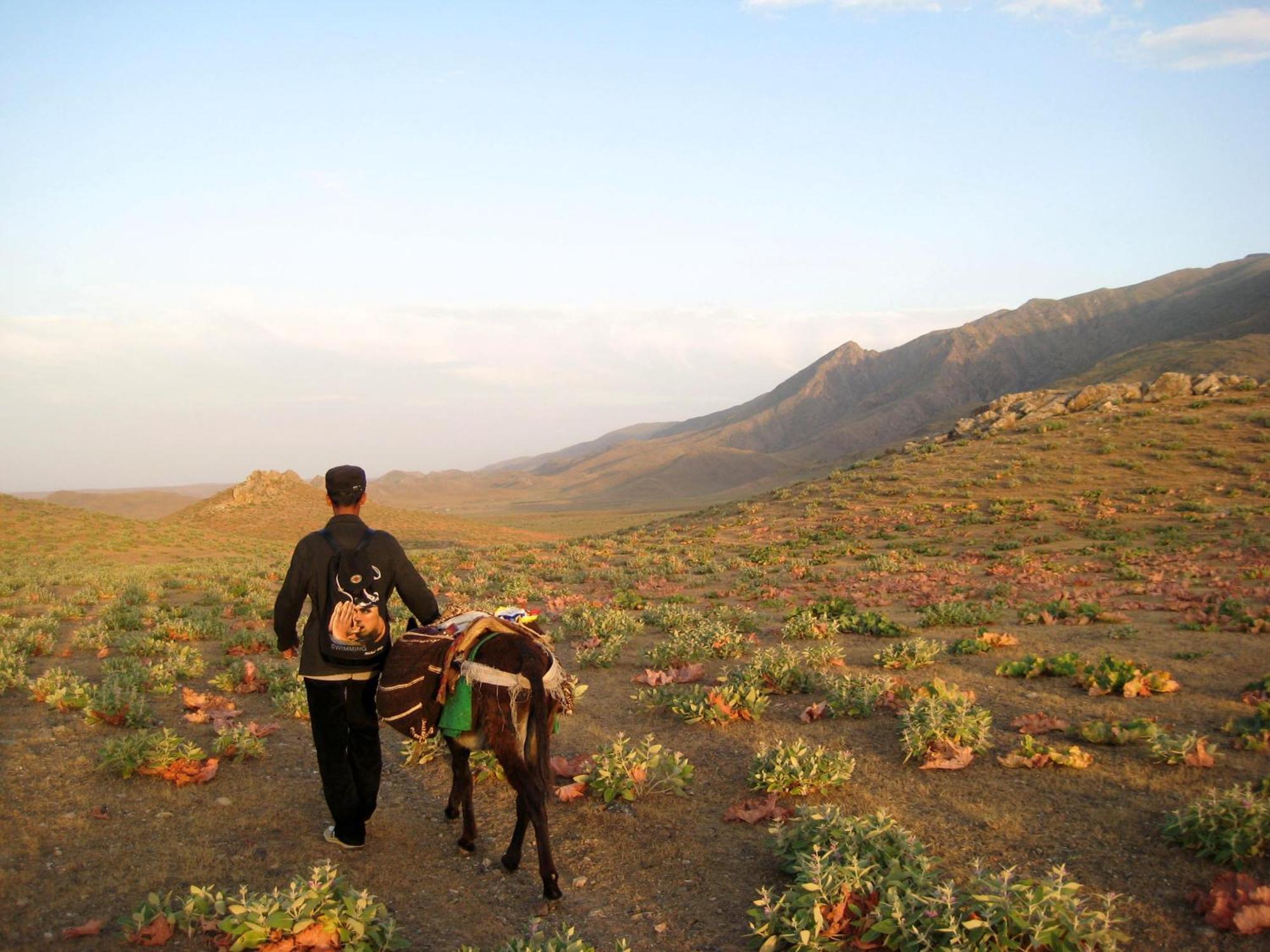 Hayat Guesthouse Nuratau Mountain Yukary-Ukhum Dış mekan fotoğraf