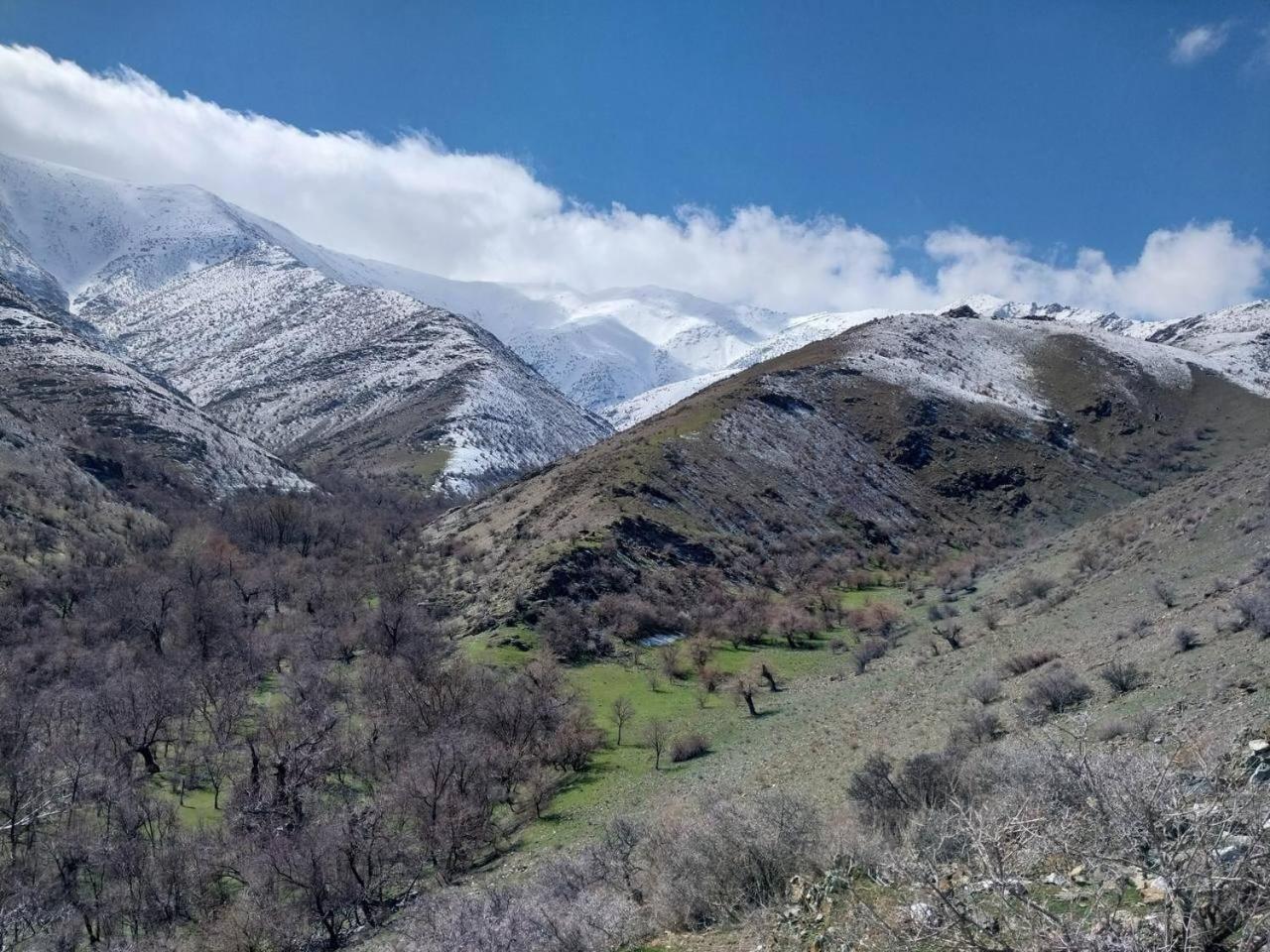 Hayat Guesthouse Nuratau Mountain Yukary-Ukhum Dış mekan fotoğraf